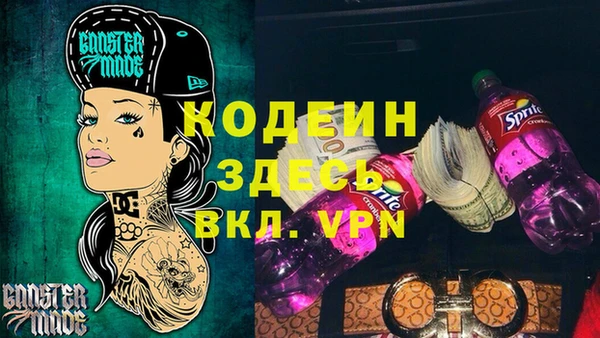 дживик Снежногорск