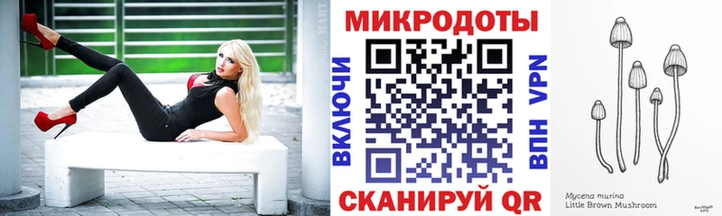 Псилоцибиновые грибы Psilocybine cubensis  наркотики  Купино 